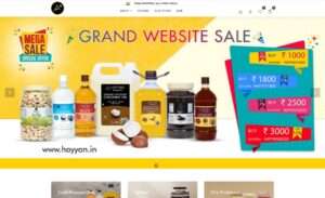 Hayyan & Co-Project-Banner -ControlN-CN-Technologies-Website-Development-Company-Udumalpet-Coimbatore-Chennai