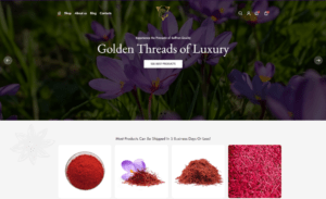 VS Saffron - projects - ControlN-CN-Technologies-Website-Development-Company-Udumalpet-Coimbatore-Chennai